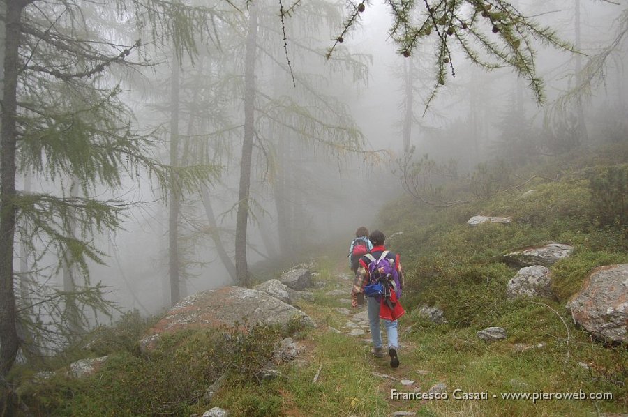 12-Nebbia verso il Calvi.jpg